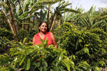 Load image into Gallery viewer, Five local producers - 5 farms - Castillo - Washed