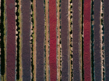 Load image into Gallery viewer, Lalesa - Red Honey