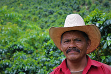 Load image into Gallery viewer, Juan Benitez - Finca La Vistada - Pacas - Washed