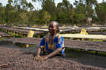 Load image into Gallery viewer, Lalesa - Red Honey