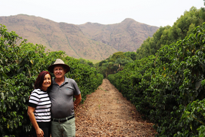 Aristides Botrel - Fazenda Monjolo - Topazio
