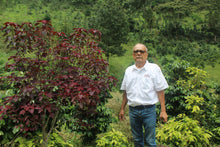 Load image into Gallery viewer, Jorge Lanza - Finca La Huerta - Geisha - Washed
