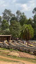 Load image into Gallery viewer, Habtamu Fekadu Aga - 74110, 74112 - Washed
