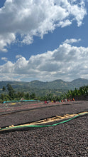 Load image into Gallery viewer, Bekele Kechara - 74158 - Natural
