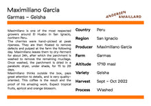 Load image into Gallery viewer, Maximiliano Garcia - Garmas #1
